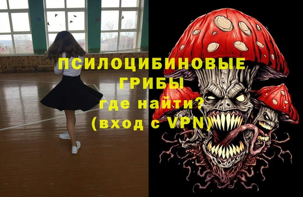MDMA Бородино