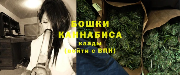 герыч Бронницы