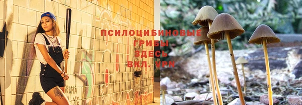 герыч Бронницы