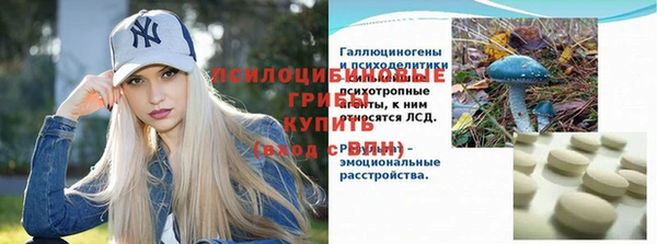 герыч Бронницы