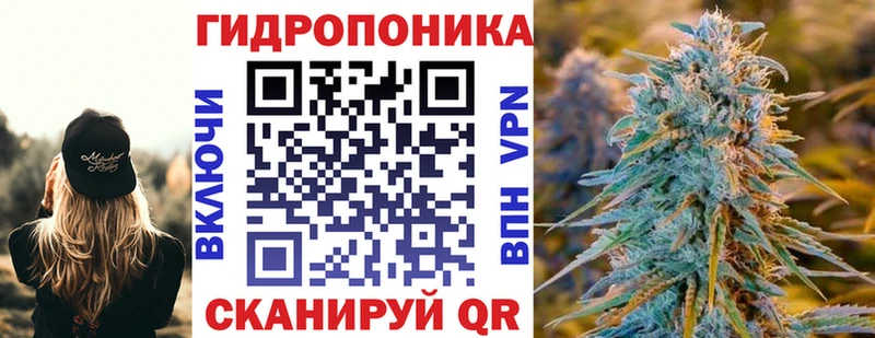 Конопля конопля  купить   Моршанск 